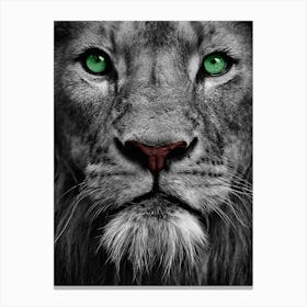 Lion With Green Eyes Canvas Print