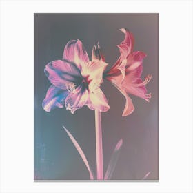 Iridescent Flower Amaryllis 1 Canvas Print