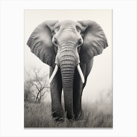 African Elephant Realism Portrait 5 Canvas Print