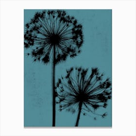 Teal black alliums Canvas Print