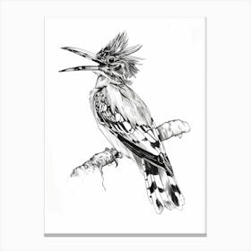 Kingfisher Bird Canvas Print