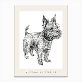 Australian Terrier Line Sketch 4 Poster Canvas Print