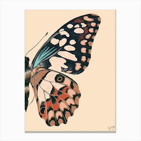 Butterfly Wing Cream Canvas Print