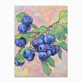 Boysenberry Vintage Sketch Fruit Canvas Print