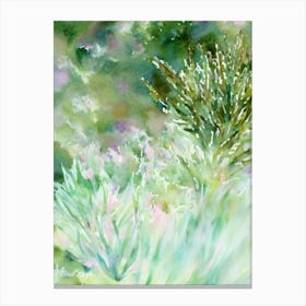 Acropora Verweyi Storybook Watercolour Canvas Print