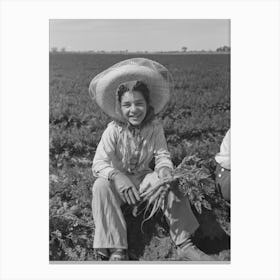 Untitled Photo, Possibly Related To Agricultural Worker In The Carrot Field, Yuma County, Arizona By Russell Lee Canvas Print