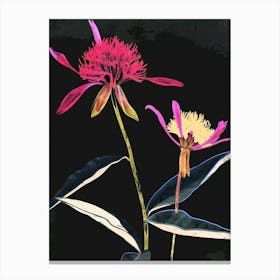 Neon Flowers On Black Globe Amaranth 1 Canvas Print