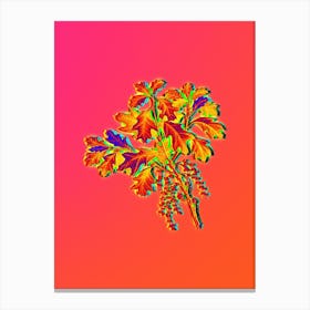 Neon Bear Oak Botanical in Hot Pink and Electric Blue n.0213 Canvas Print