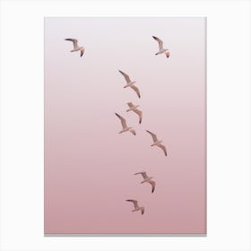 Flock Of Seagulls In Flight at Sunset Canvas Print