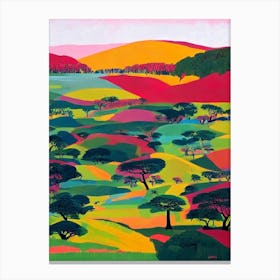 Serengeti National Park Tanzania Abstract Colourful Canvas Print