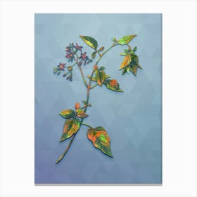 Vintage Bittersweet Botanical Art on Summer Song Blue n.1474 Canvas Print