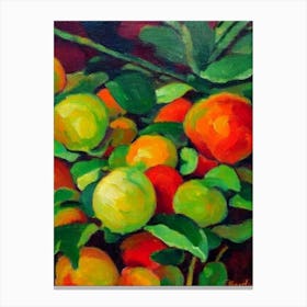 Rambutan 2 Fruit Vibrant Matisse Inspired Painting Fruit Canvas Print