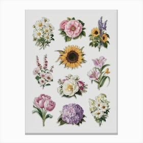 Vintage Flowers Enchanting Floral Delights Shabby Chic Flower Canvas Print