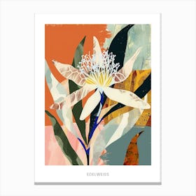 Colourful Flower Illustration Poster Edelweiss 2 Canvas Print