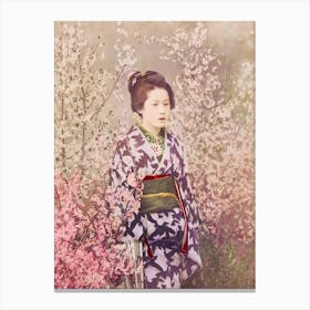 Beautiful Photomechanical Prints Of A Geisha And Cherry Blossom, Ogawa Kazumasa Canvas Print