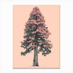 Redwood Tree Minimalistic Drawing 4 Canvas Print