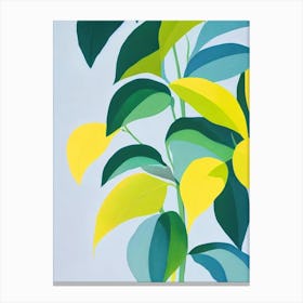 Calathea Bold Graphic Plant Canvas Print