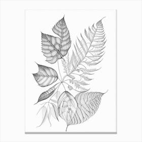 Leaf Pattern 6 Canvas Print