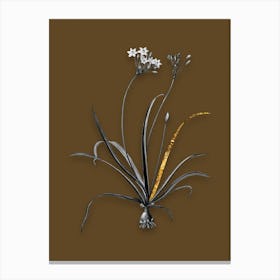 Vintage Allium Fragrans Black and White Gold Leaf Floral Art on Coffee Brown Canvas Print