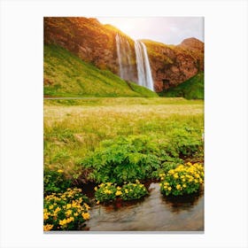 Waterfall In Iceland 1 Canvas Print