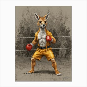 Boxing Kangaroo Canvas Print