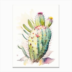 Parodia Cactus Storybook Watercolours Canvas Print
