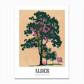 Alder Tree Colourful Illustration 4 Poster Canvas Print