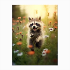 Cute Funny Crab Eating Raccoon Running On A Field 2 Canvas Print