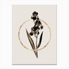 Gold Ring Dalmatian Iris Glitter Botanical Illustration n.0116 Canvas Print