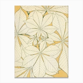 Apricot Leaves Canvas Print