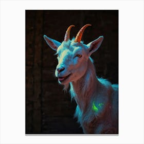 Goat With Glowing Eyes Canvas Print