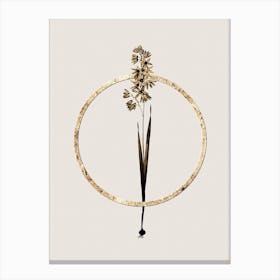 Gold Ring Turquoise Ixia Glitter Botanical Illustration n.0047 Canvas Print