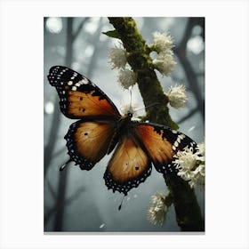 Butterfly In The Forest Canvas Print