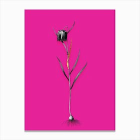 Aayco Vintage Chess Flower Black And White Gold Leaf Floral Art On Hot Pink N Canvas Print