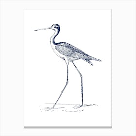 Bird With Long Legs Canvas Print