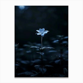 Dark Blue Flower 11 Canvas Print