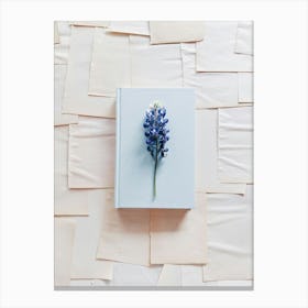 Bluebonnets Canvas Print