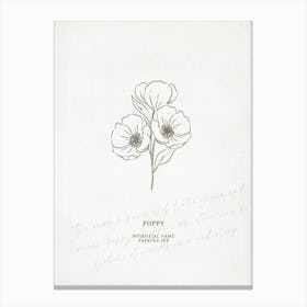 Poppy Birth Flower | Antique Canvas Print