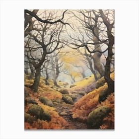 Autumn Forest Landscape Wistmans Wood England Canvas Print