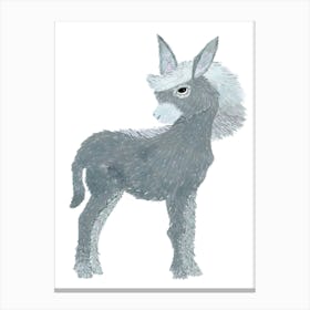 Cute Donkey Canvas Print