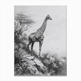 Giraffe On The Cliff Edge Pencil Drawing 4 Canvas Print