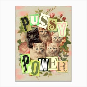 Pussy Power Canvas Print