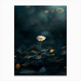 Daisy In The Dark 2 Canvas Print