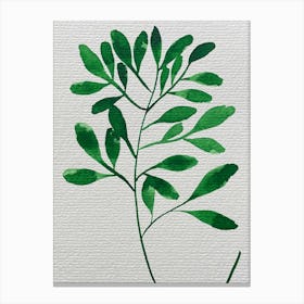 Green Botanicals Canvas Print