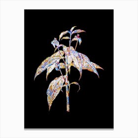 Stained Glass Commelina Zanonia Mosaic Botanical Illustration on Black n.0087 Canvas Print