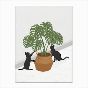 Vintage Minimal Art Two Cats Playing With A Potted Plant Canvas Print