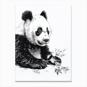 Giant Panda Cub Playing With A Fallen Leaf Ink Illustration 3 Canvas Print