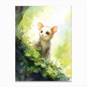 Light Watercolor Painting Of A Foraging Possum 4 Canvas Print