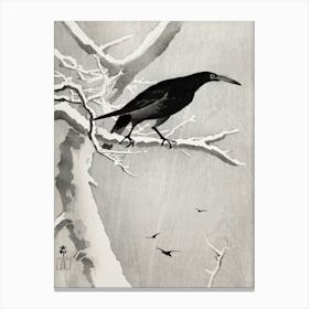 Crow On Snowy Tree Branch (1900 1936), Ohara Koson Canvas Print