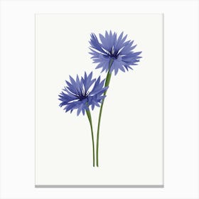 Illustration Of Two Blue Cornflowers Canvas Print